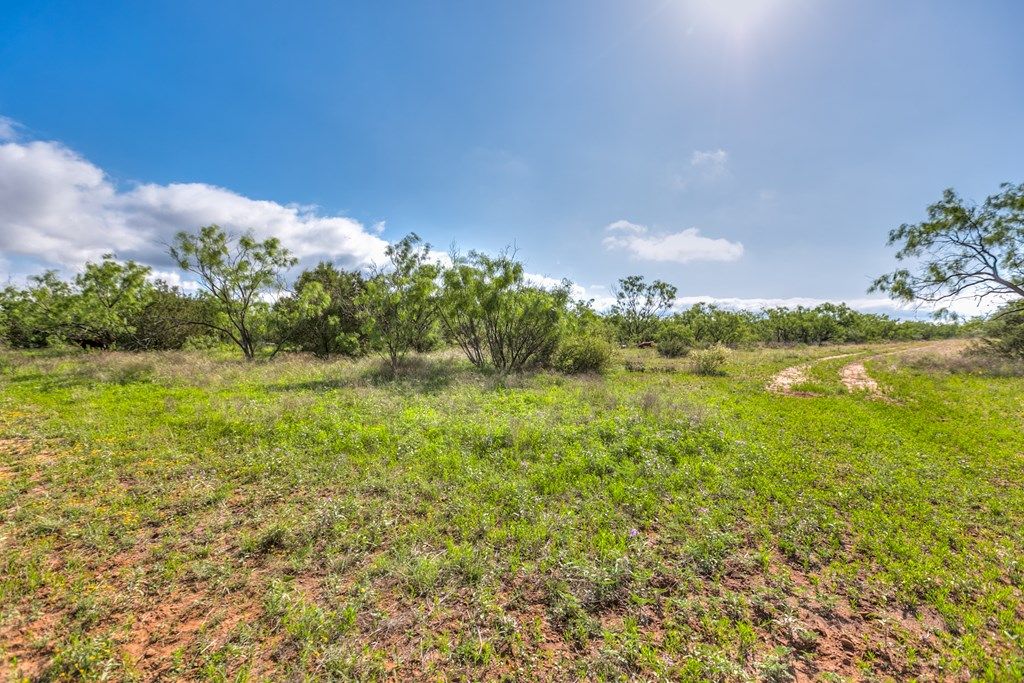 Image 40 of property listing at 00 Other, Robert Lee, TX 76945