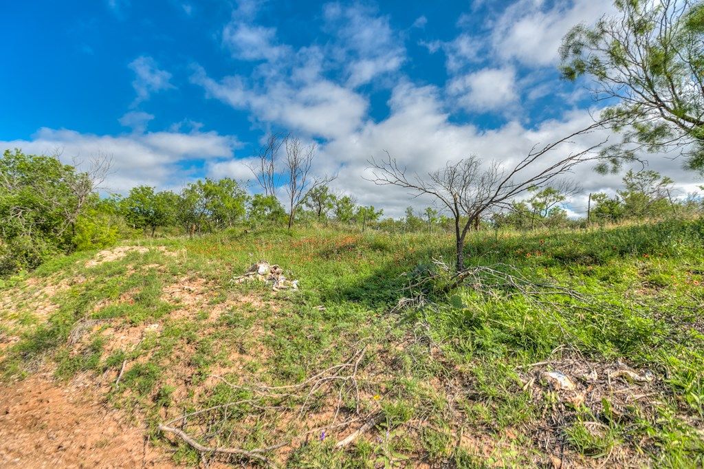 Image 42 of property listing at 00 Other, Robert Lee, TX 76945
