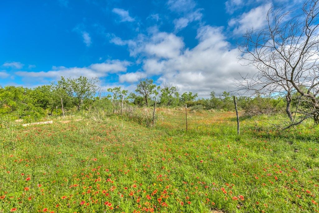Image 43 of property listing at 00 Other, Robert Lee, TX 76945