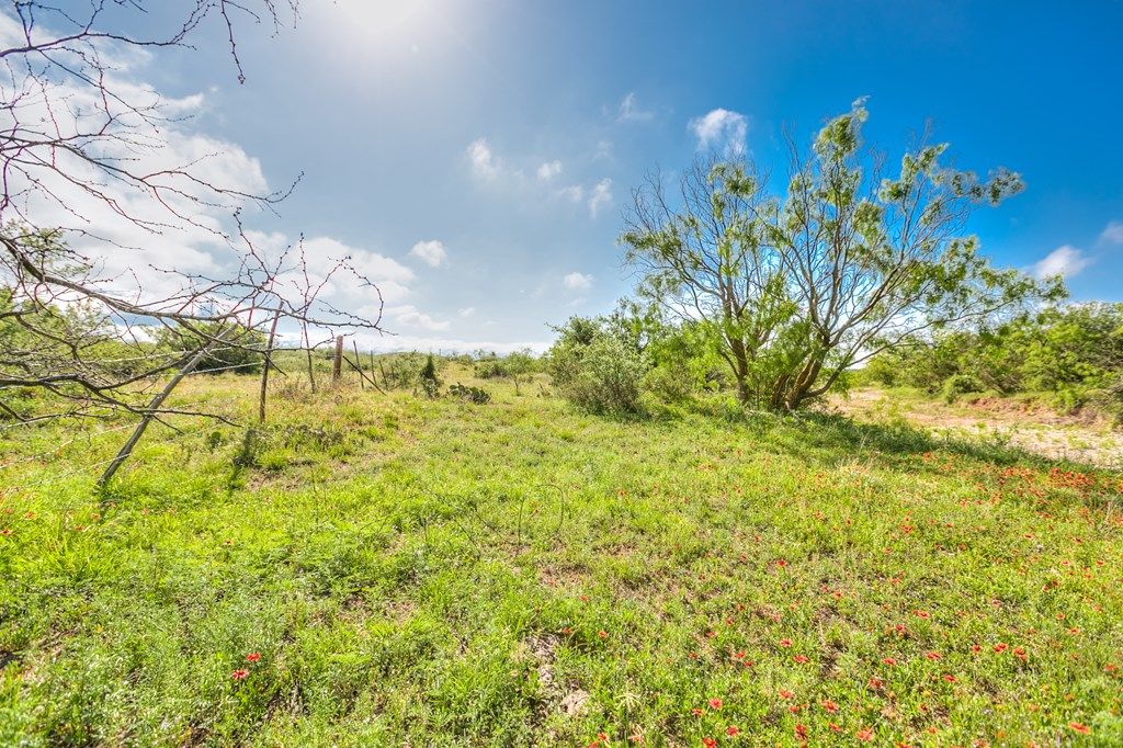 Image 44 of property listing at 00 Other, Robert Lee, TX 76945
