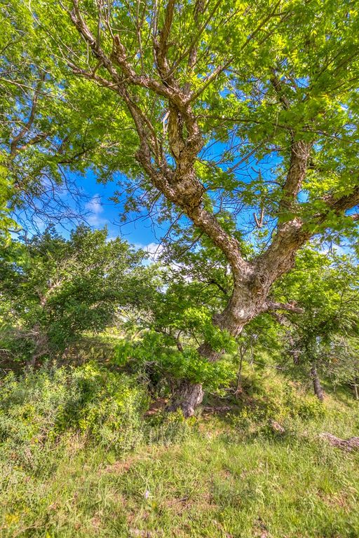 Image 48 of property listing at 00 Other, Robert Lee, TX 76945