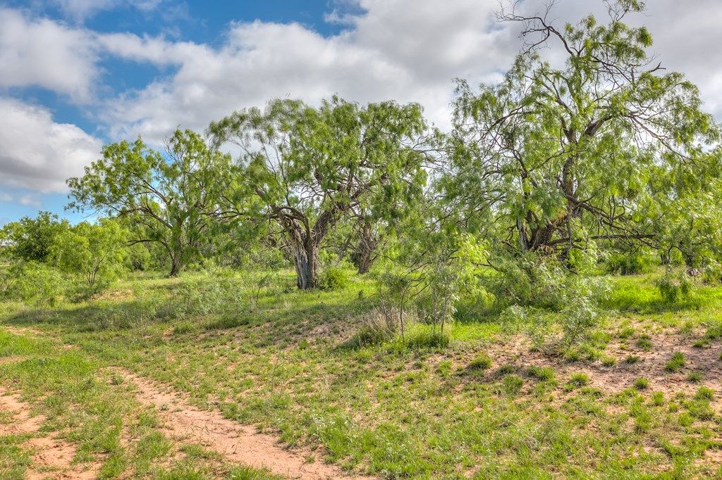 Image 49 of property listing at 00 Other, Robert Lee, TX 76945