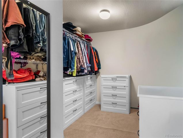3068 Cool Meadow Place, Castle Rock, CO 80104
