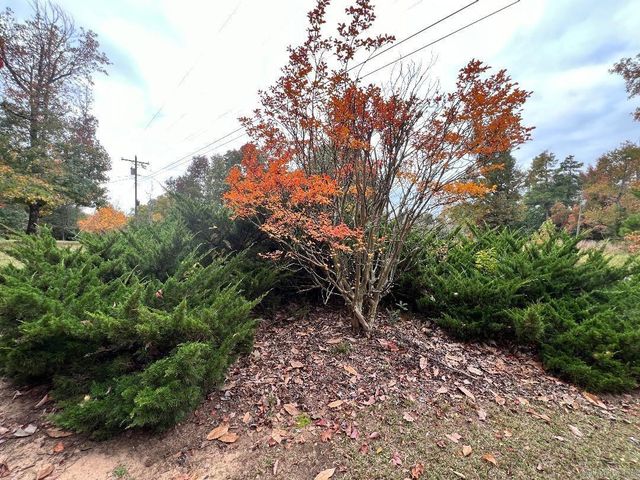 1658 Avalon Road, Star City, AR 71667