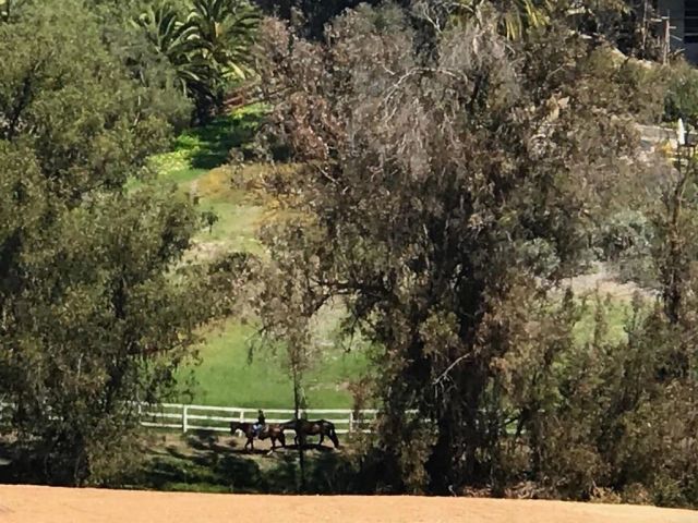 5470 La Crescenta, Rancho Santa Fe, CA 92067