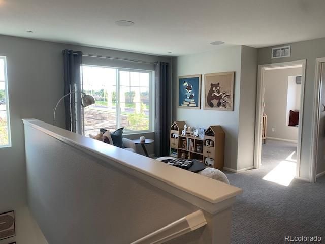 280 Nighthawk Street, Erie, CO 80516