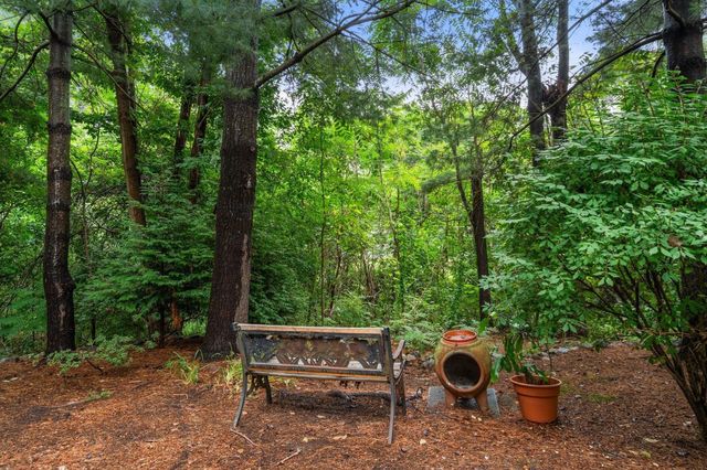 79 Beecher Pl 5, Newton, MA 02459