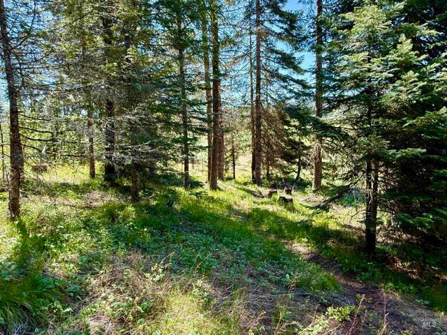 1366 Glenwood Road, Kamiah, ID 83536