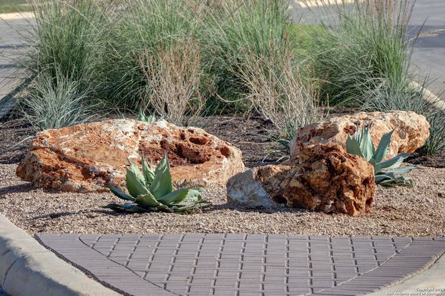 648 Bodark Street, New Braunfels, TX 78132