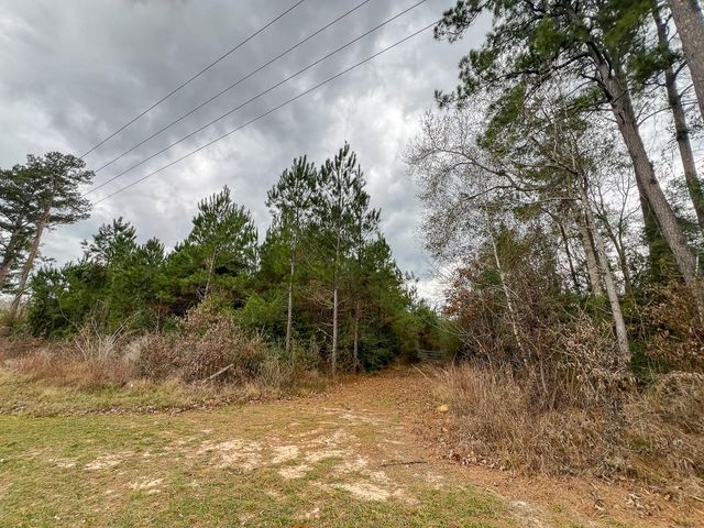 1 Highway 87, Newton, TX 75966