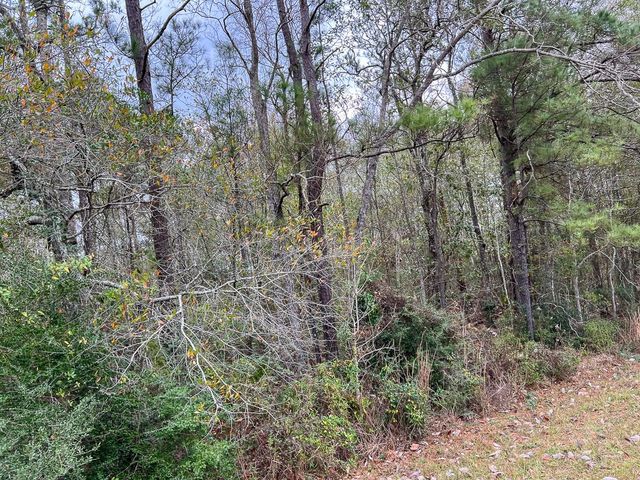 1 Highway 87, Newton, TX 75966