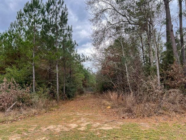 1 Highway 87, Newton, TX 75966