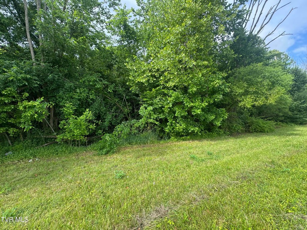 Tbd West Highway 11 Lot 24, Kingsport, TN 37660