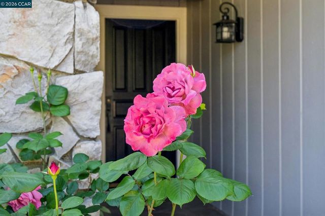 736 Twinview Pl, Pleasant Hill, CA 94523