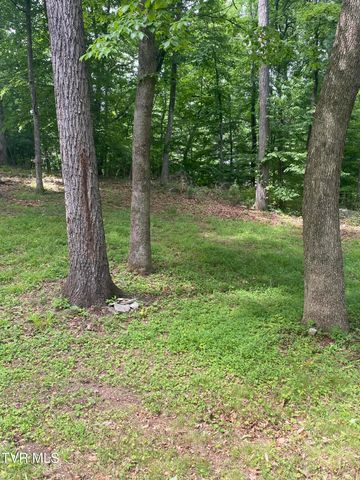 201 Shipley Road, Church Hill, TN 37642