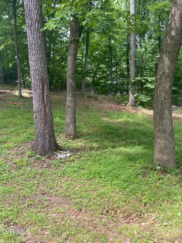 201 Shipley Road, Church Hill, TN 37642