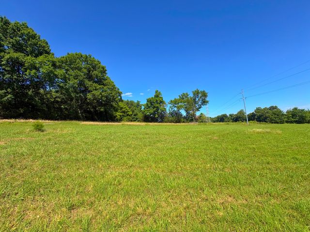 485C Canoe Branch Rd, Castalian Springs, TN 37031