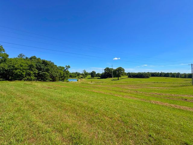 485C Canoe Branch Rd, Castalian Springs, TN 37031