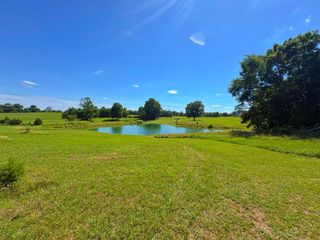 485C Canoe Branch Rd, Castalian Springs, TN 37031