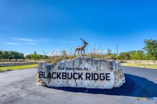 224 Blackbuck Ridge Drive, Lampasas, TX 76550