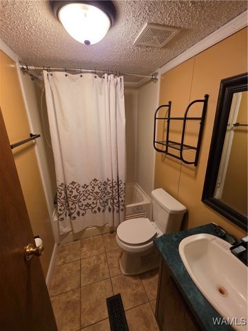 15797 Dundee, Coker, AL 35452