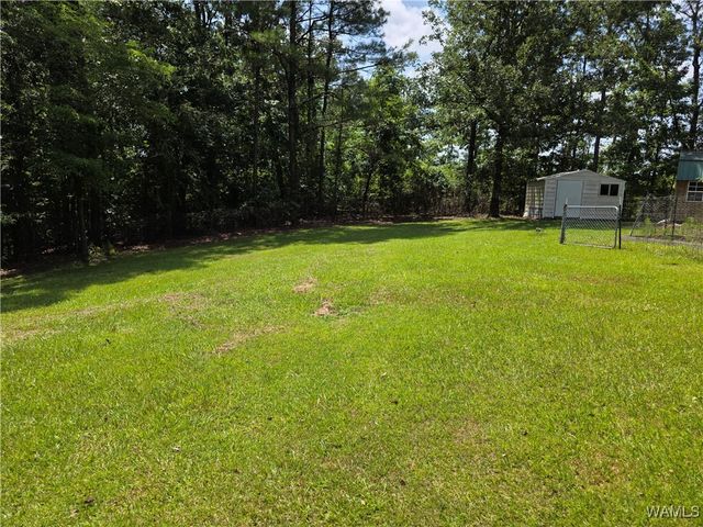 15797 Dundee, Coker, AL 35452