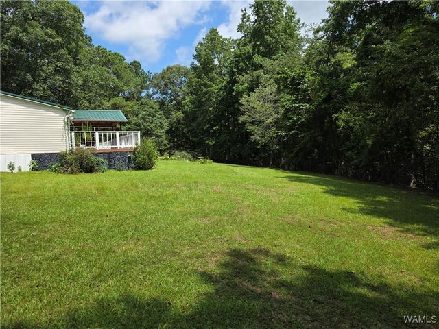 15797 Dundee, Coker, AL 35452