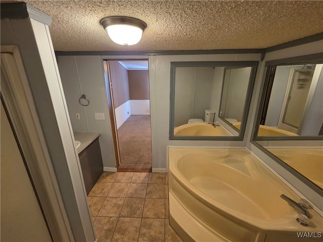 15797 Dundee, Coker, AL 35452