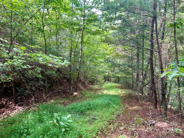 1775 Paint Rock Road, Hot Springs, NC 28743