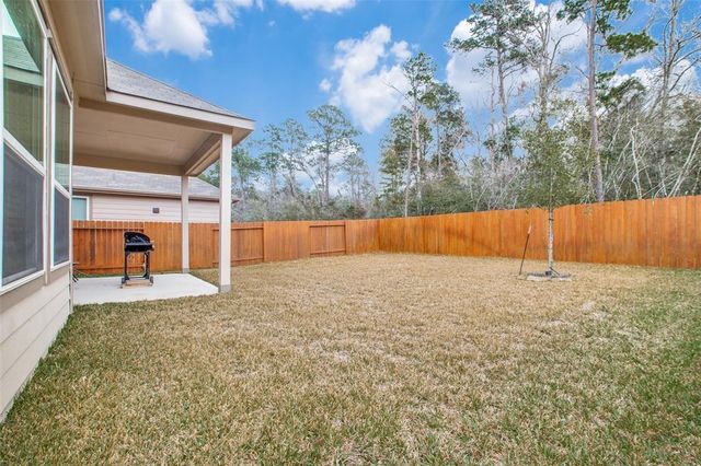 4258 Mcgregor Bluff Lane, Conroe, TX 77304