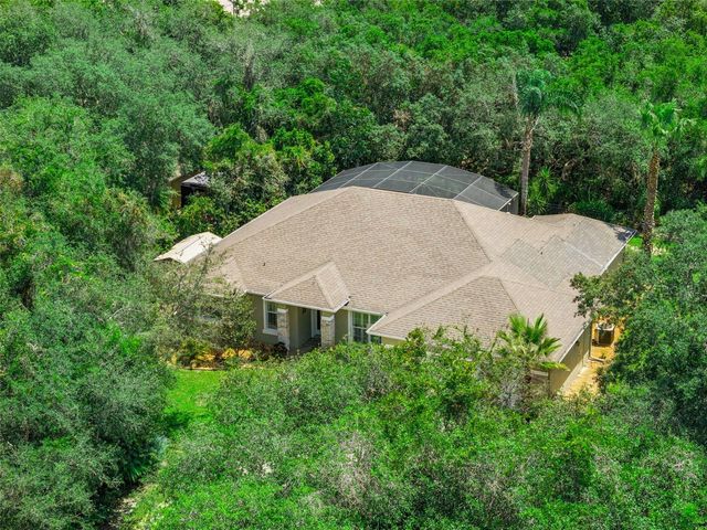 11540 NELLIE OAKS BEND, Clermont, FL 34711