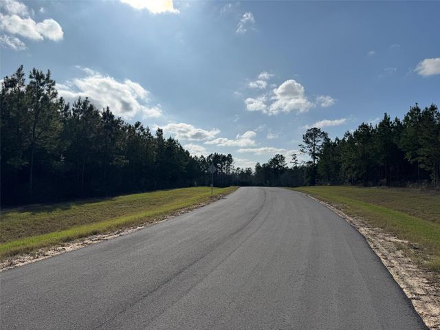 11830 Moss Grove Court, Willis, TX 77378