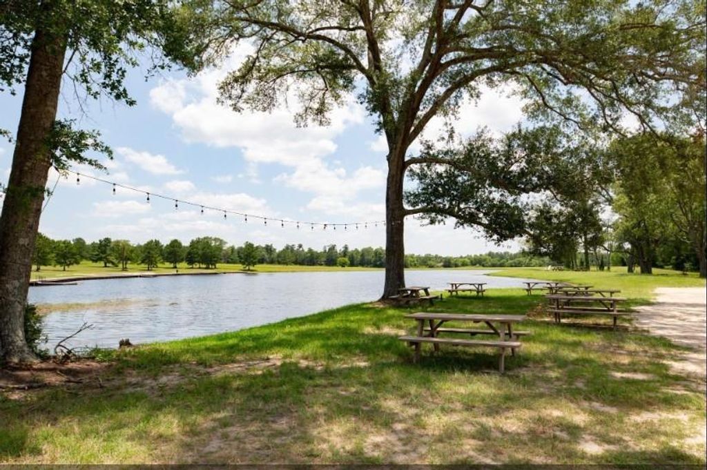 11830 Moss Grove Court, Willis, TX 77378