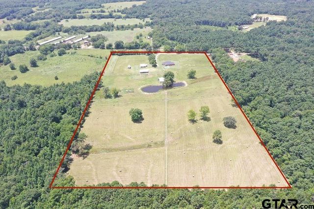 1303 CR 2314, Pittsburg, TX 75686