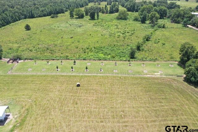 1303 CR 2314, Pittsburg, TX 75686