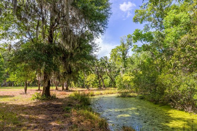 0 Thorn Chase Lane, Johns Island, SC 29455