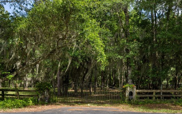 0 Thorn Chase Lane, Johns Island, SC 29455