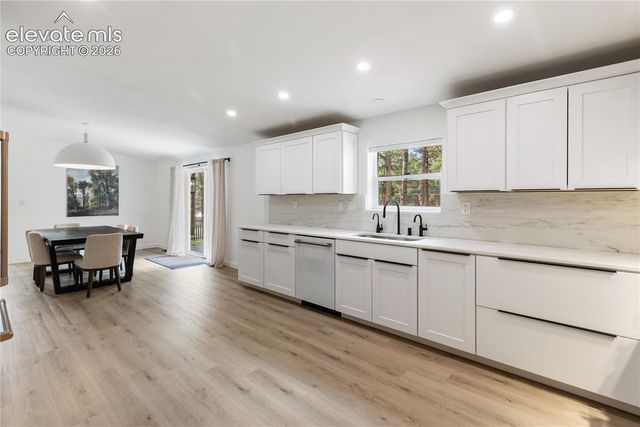 450 County Road, Woodland Park, CO 80863