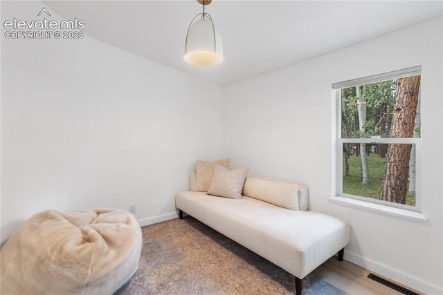 450 County Road, Woodland Park, CO 80863
