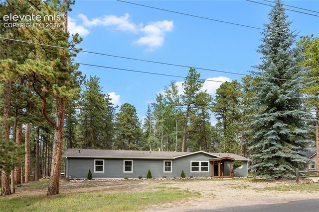 450 County Road, Woodland Park, CO 80863