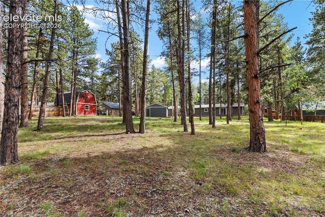 450 County Road, Woodland Park, CO 80863