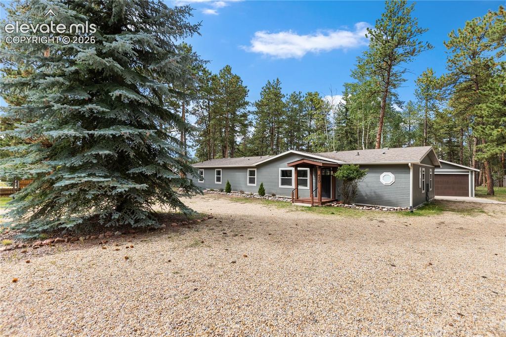 450 County Road, Woodland Park, CO 80863 — photo 2