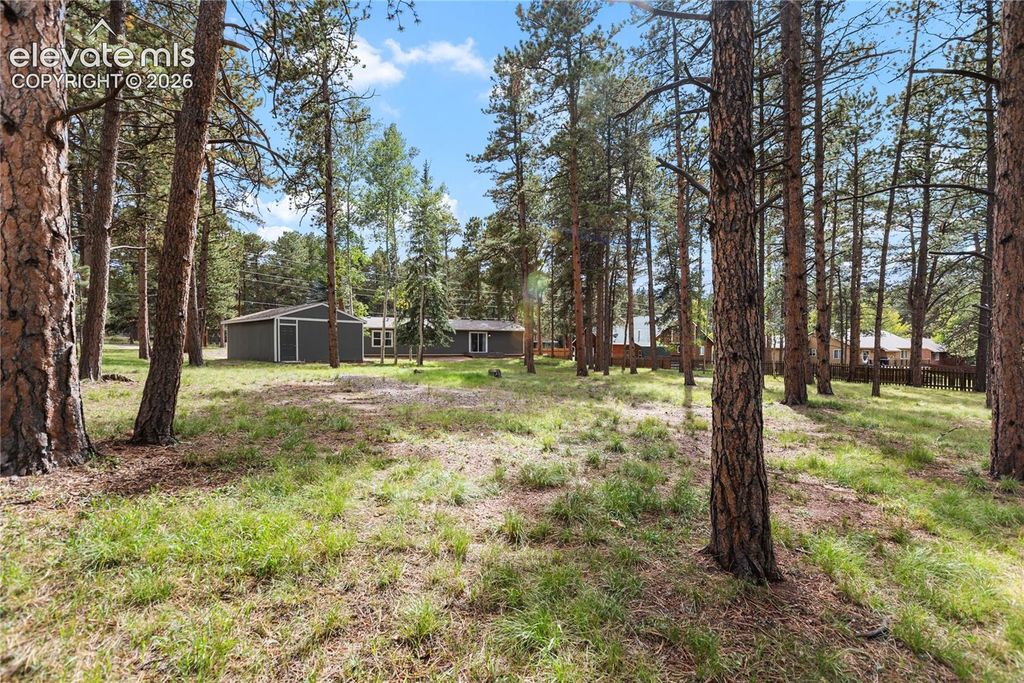 450 County Road, Woodland Park, CO 80863 — photo 3