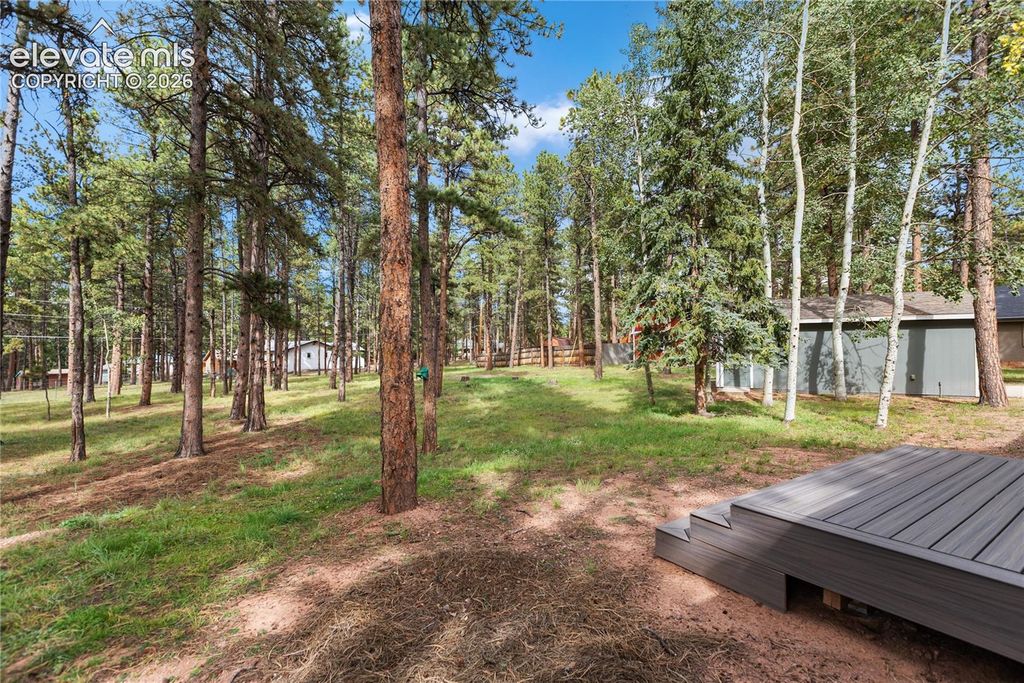 450 County Road, Woodland Park, CO 80863 — photo 5