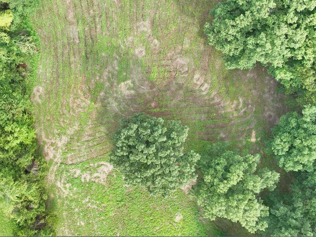 268 Lake Westmoreland Rd, Westmoreland, TN 37186