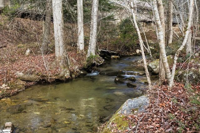 401 Rocky Bottom Road, Sunset, SC 29685