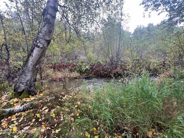 7345 E Riley Alexander Circle, Palmer, AK 99645