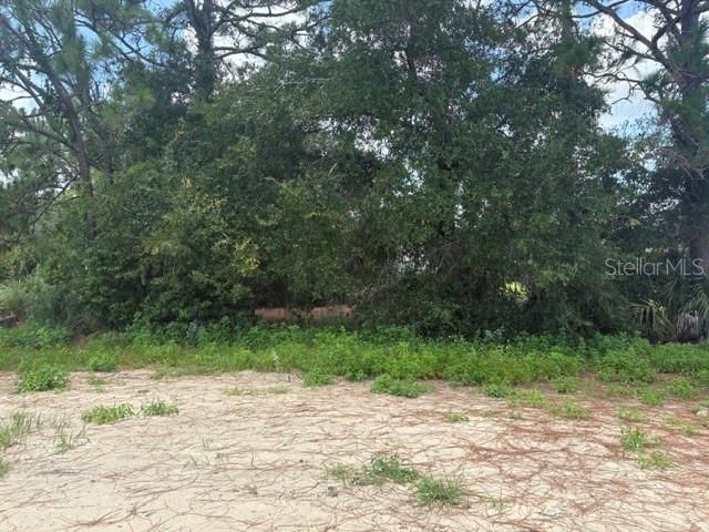 6878 SW 179TH AVENUE ROAD, Dunnellon, FL 34432
