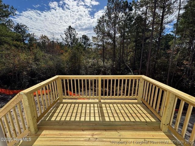 217 Horse Trot Lane, Sanford, NC 27332