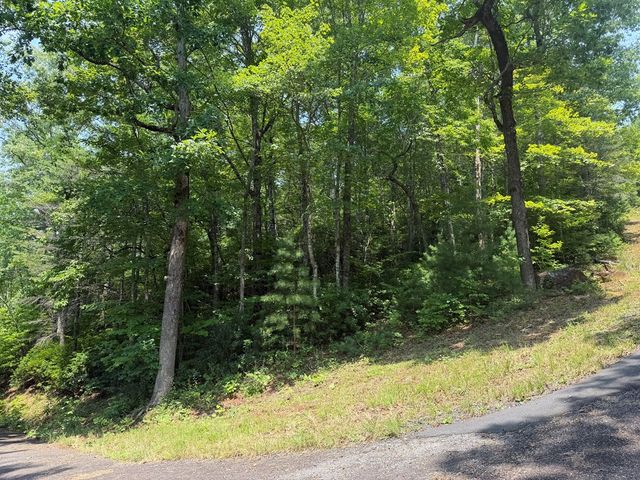 0 Whisper Ridge Court, Hiawassee, GA 30546